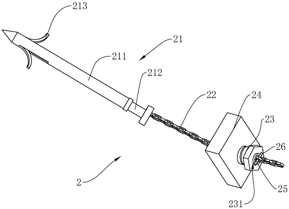 An ant tunnel irrigation device and method