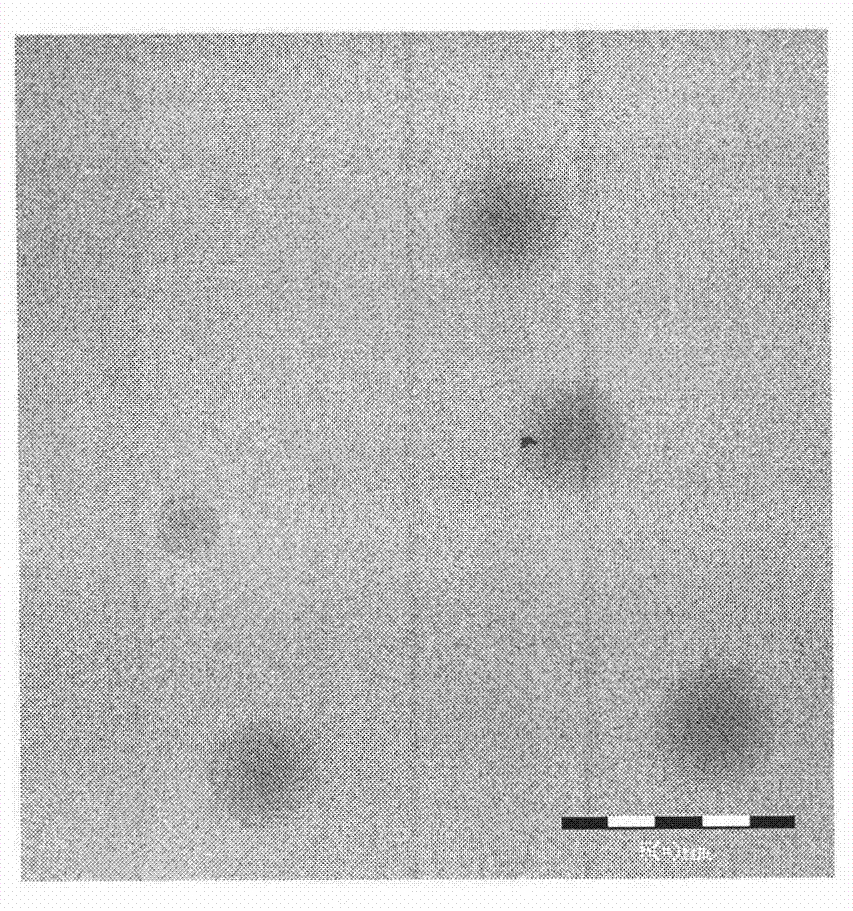 Liver targeting taxol nanometer suspension and preparation method thereof