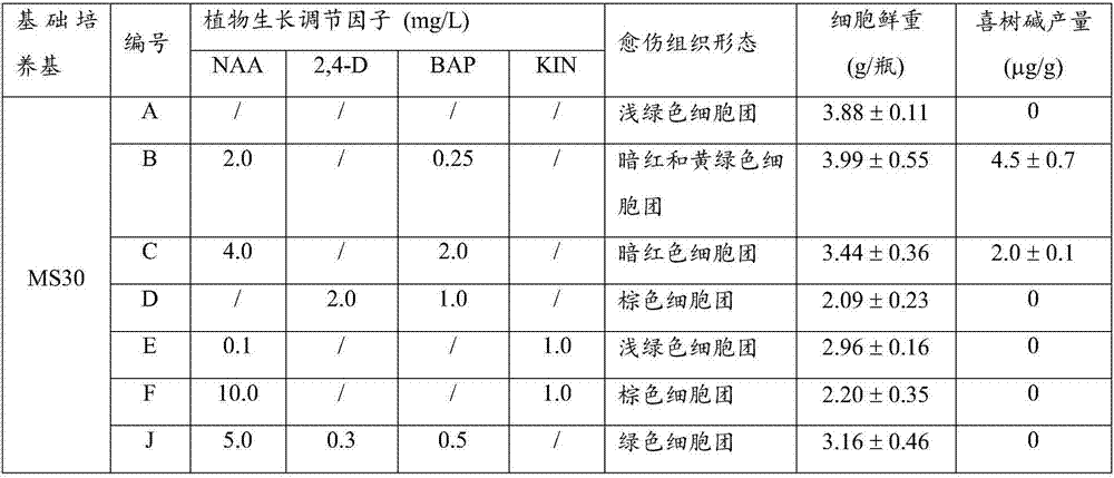 Method used for producing camptothecin and 10-hydroxycamptothecine with camptotheca acuminate suspension cells