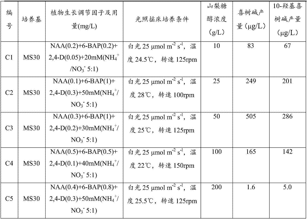 Method used for producing camptothecin and 10-hydroxycamptothecine with camptotheca acuminate suspension cells