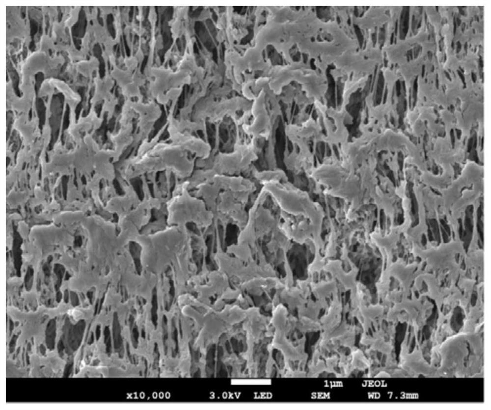 Polyvinylidene fluoride hollow fiber membrane and preparation method thereof