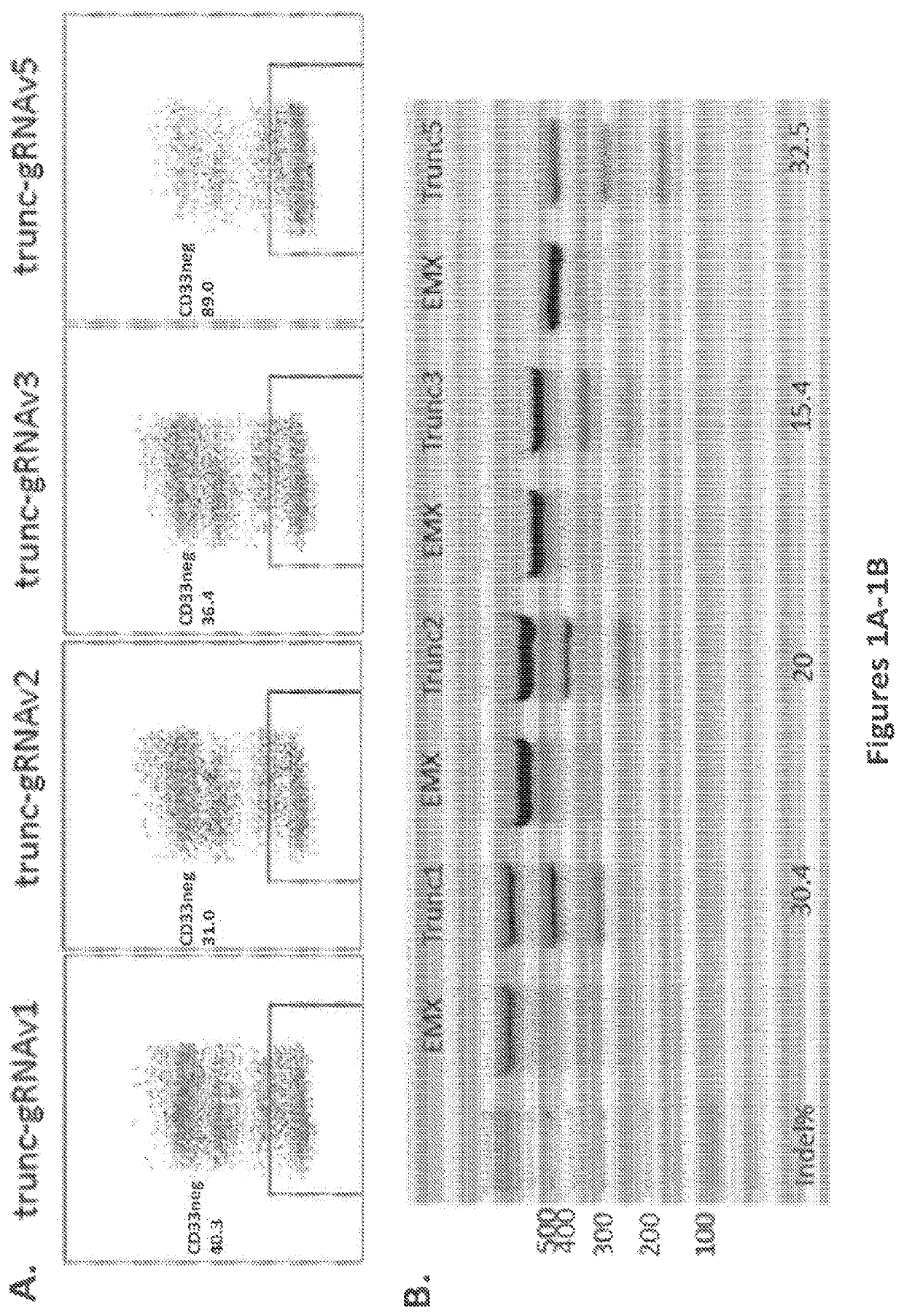 Methods and compositions for gene editing in hematopoietic stem cells