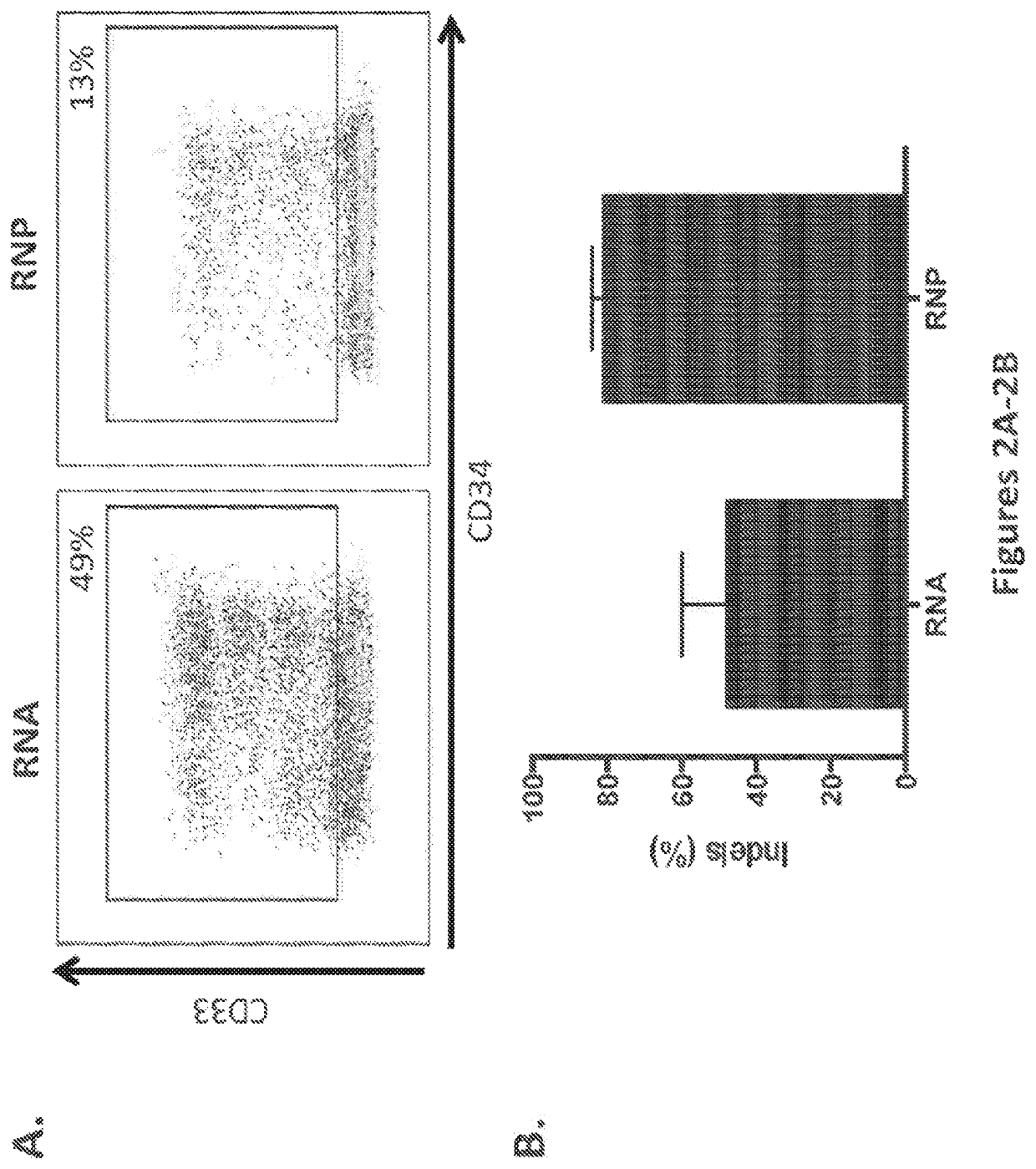 Methods and compositions for gene editing in hematopoietic stem cells