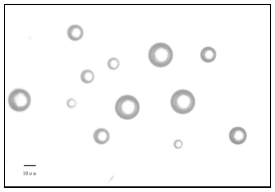 Two-phase pam/amps nano-microsphere latex and preparation method and application