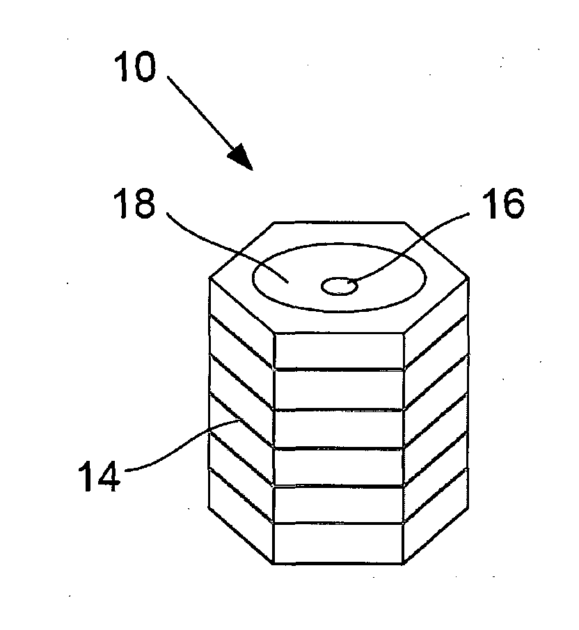 Solid animal supplements and methods for making them