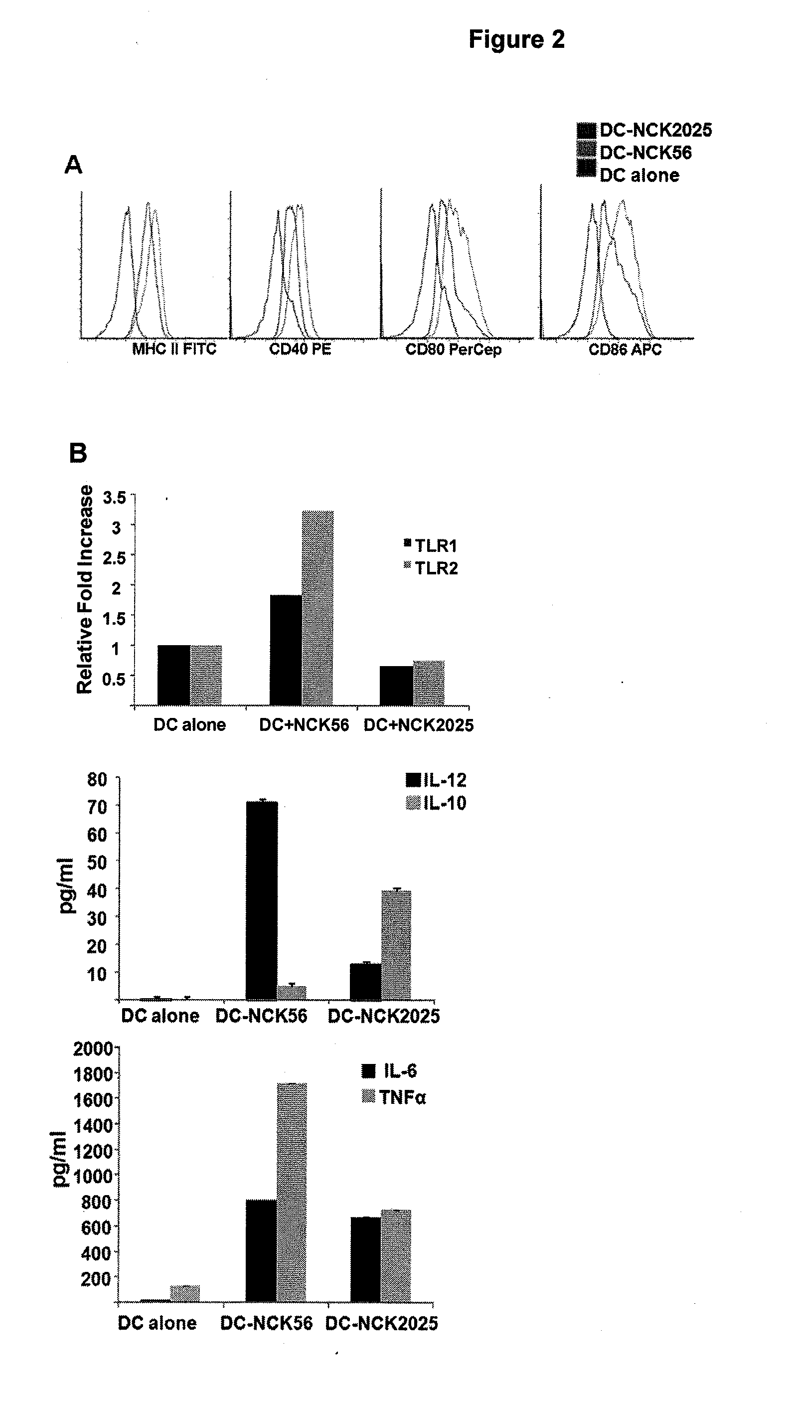 Recombinant lactobacillus with decreased lipoteichoic acid to reduce inflammatory responses