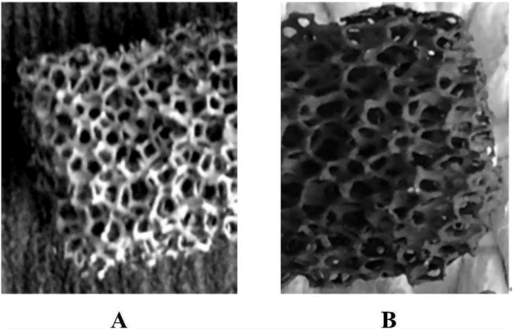 Medical porous tantalum metal material and preparation method thereof