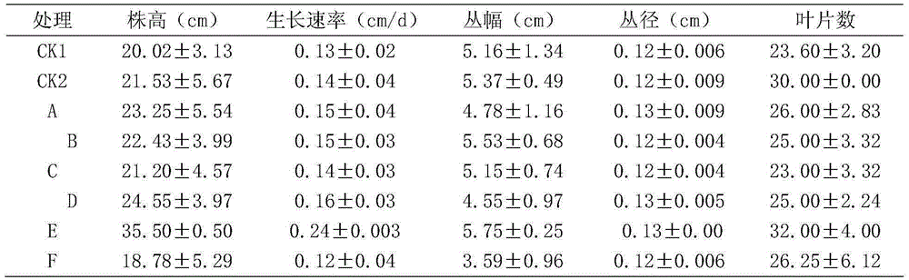 Method for promoting growth of Poacynum pictum by inoculating arbuscular mycorrhizal fungi