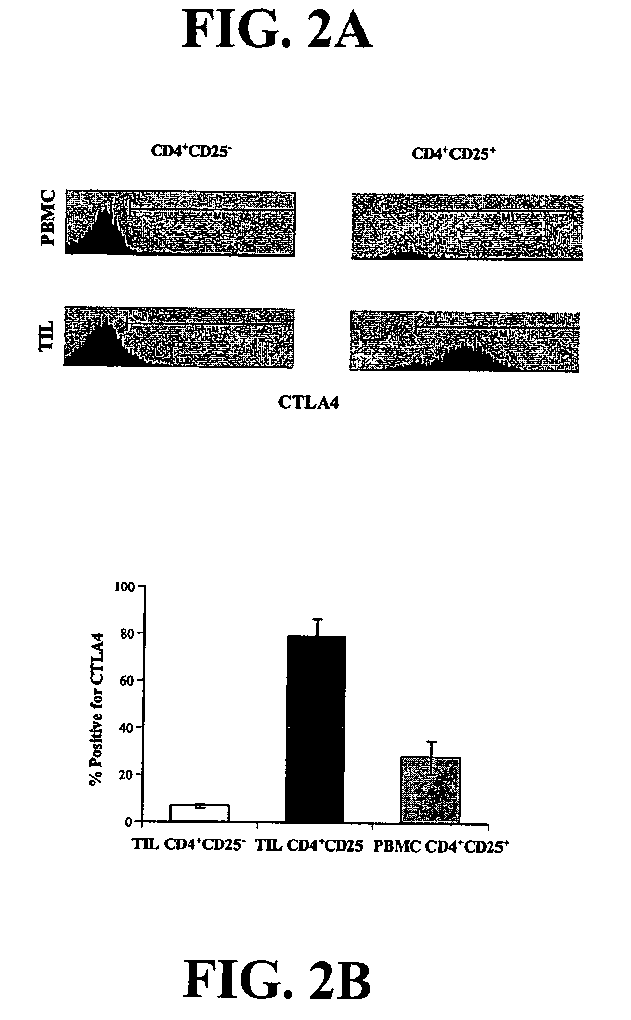 Regulatory T cells and their use in immunotherapy and suppression of autoimmune responses