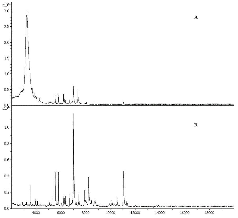 Kit for rapid mass spectrometric detection of leptospira