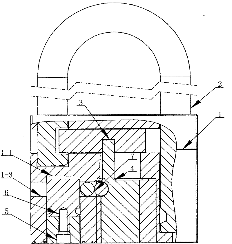 Anti-theft and anti-riot padlock provided with password auxiliary locking device