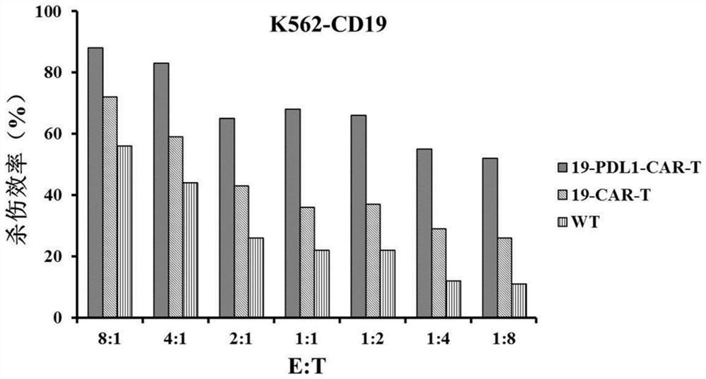 CD19 and PD-L1 double-target chimeric antigen receptor and application thereof