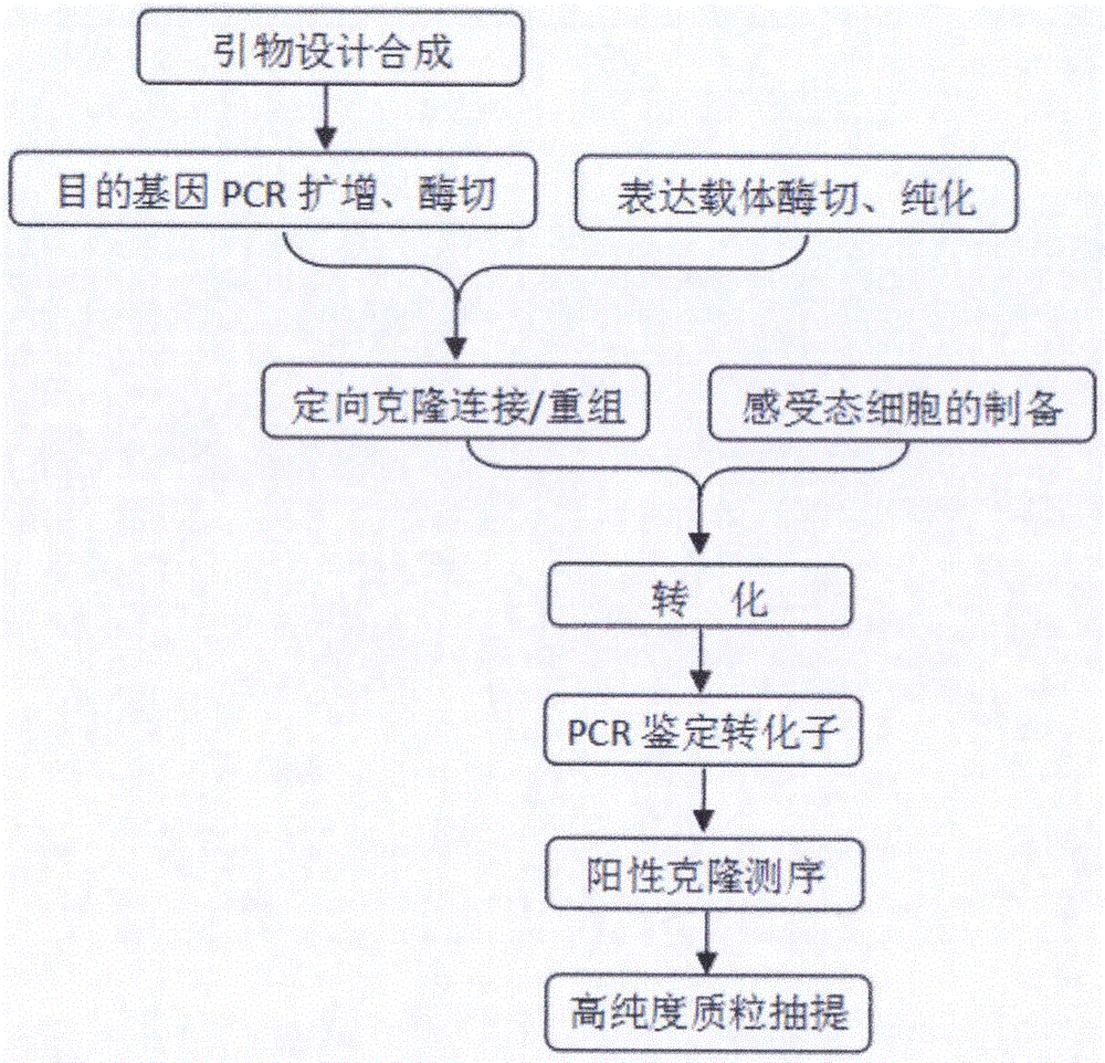 Monocytic leukemia associated antigen MLAA-34 resistant fully human monoclonal single-chain antibody ScFv