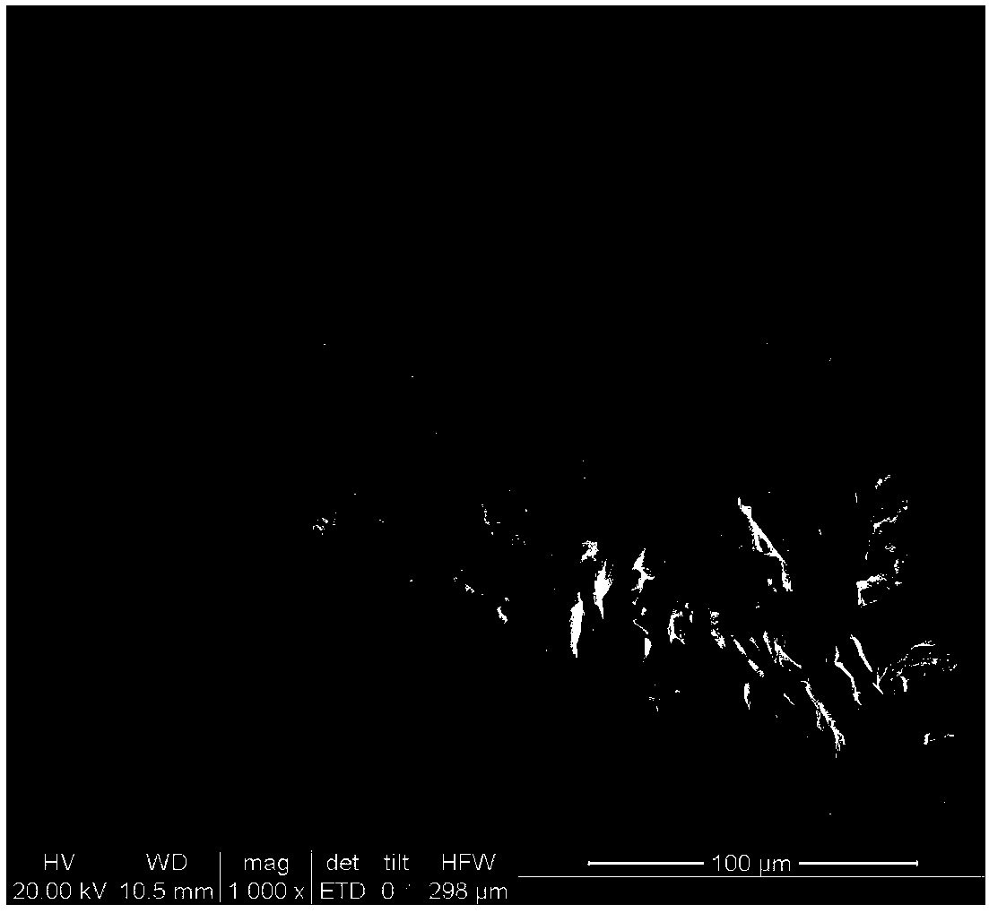 Magnetic biochar material for heavy metal waste water treatment and preparation method of magnetic biochar material