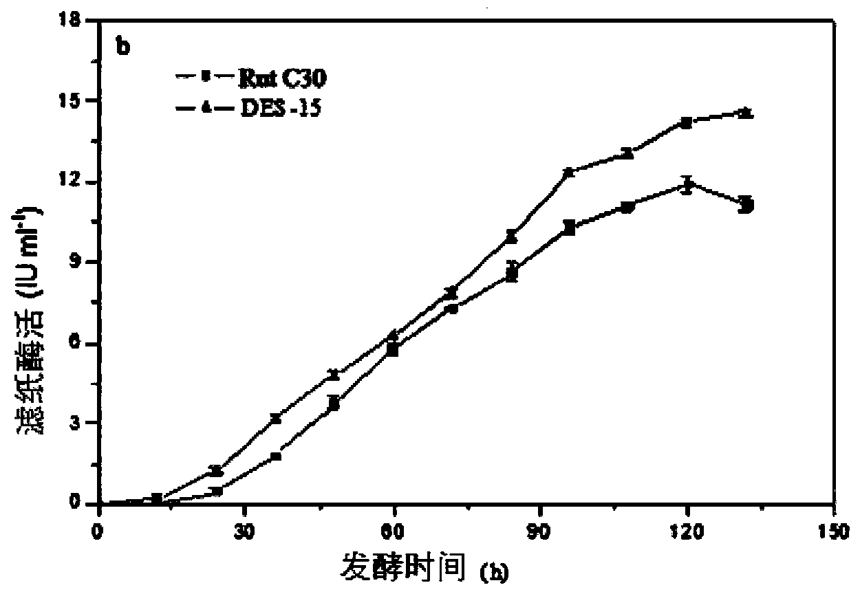 Trichoderma reesei strain and application thereof