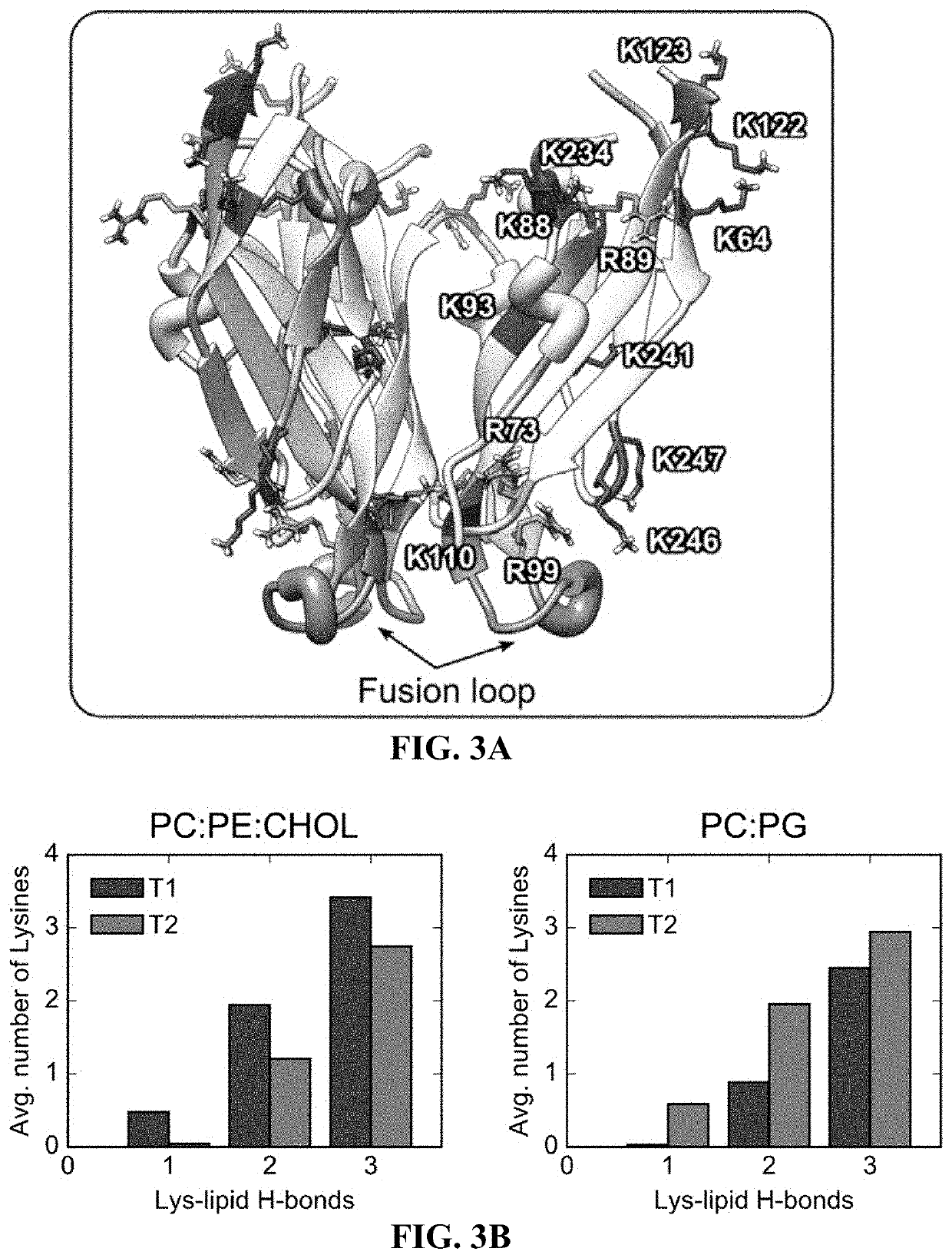 Inhibitors for targeting flaviviruses