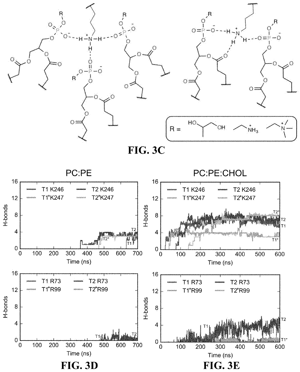 Inhibitors for targeting flaviviruses