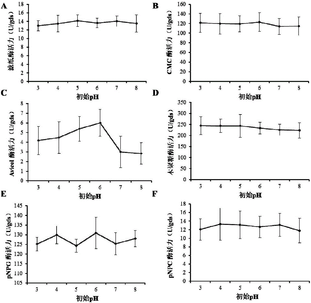 Application of Penicillium oxalicum EU2101 in preparation of cellulase preparation and degradation of cellulose