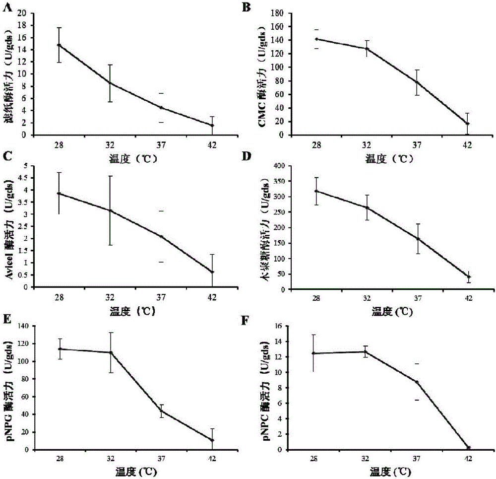 Application of Penicillium oxalicum EU2101 in preparation of cellulase preparation and degradation of cellulose