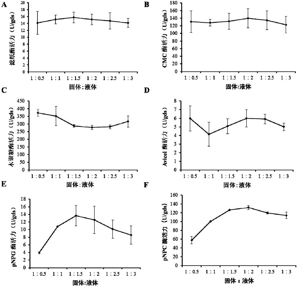 Application of Penicillium oxalicum EU2101 in preparation of cellulase preparation and degradation of cellulose