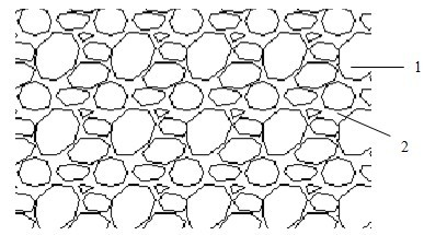 Ecological restoration method of hydro-fluctuation belt