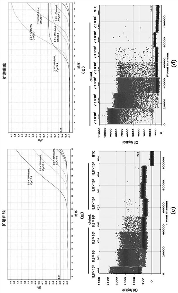 A rapid and simultaneous method for the detection of Escherichia coli O157:H7 and Salmonella typhimurium in food