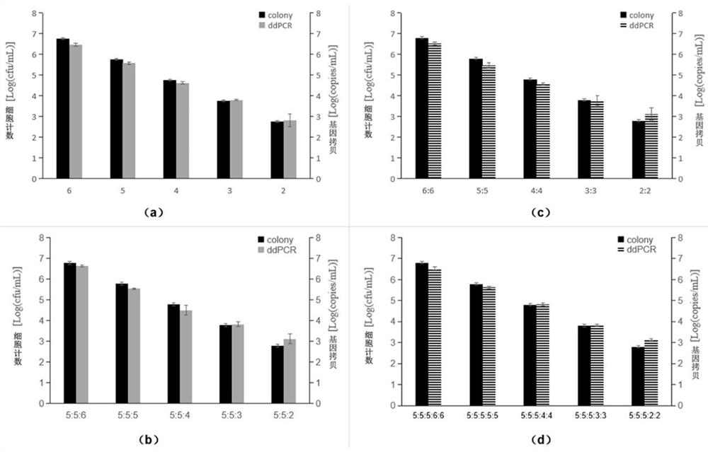 A rapid and simultaneous method for the detection of Escherichia coli O157:H7 and Salmonella typhimurium in food