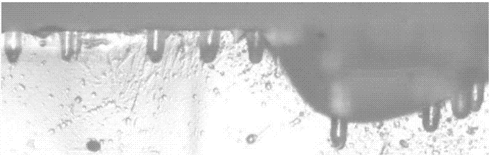 Method for observing track topography of solid nuclear track detector by means of optical microscope