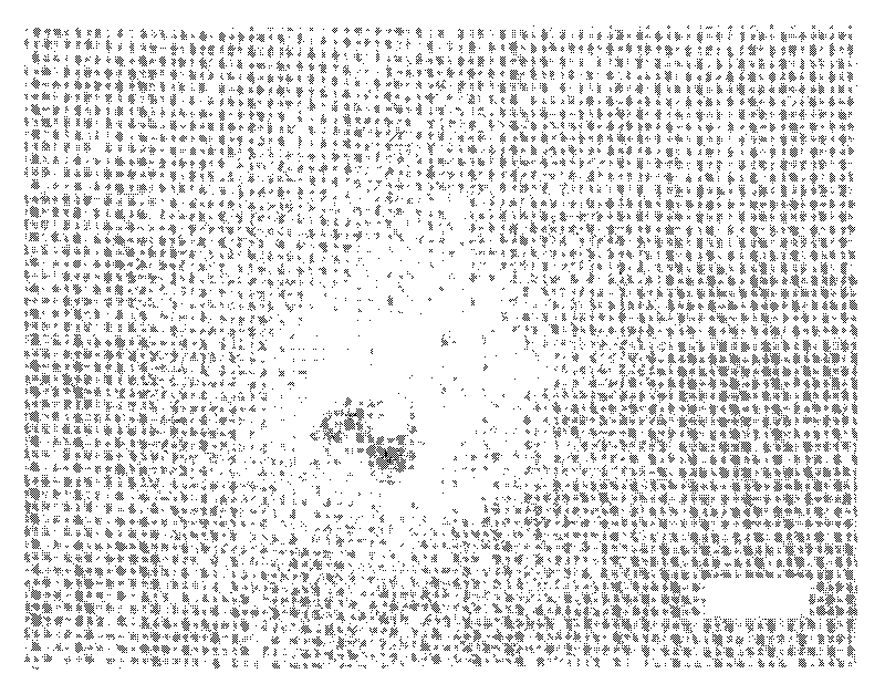 Method for inducing transformation of totipotent stem cells into mesenchymal stem cells