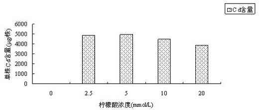 Method for promoting broad bean in restoring and treating cadmium-polluted soil by using citric acid