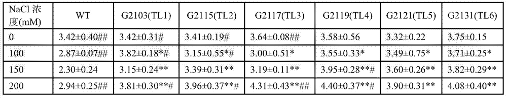 Cotton stress response-related protein ghgebp and its coding gene and application