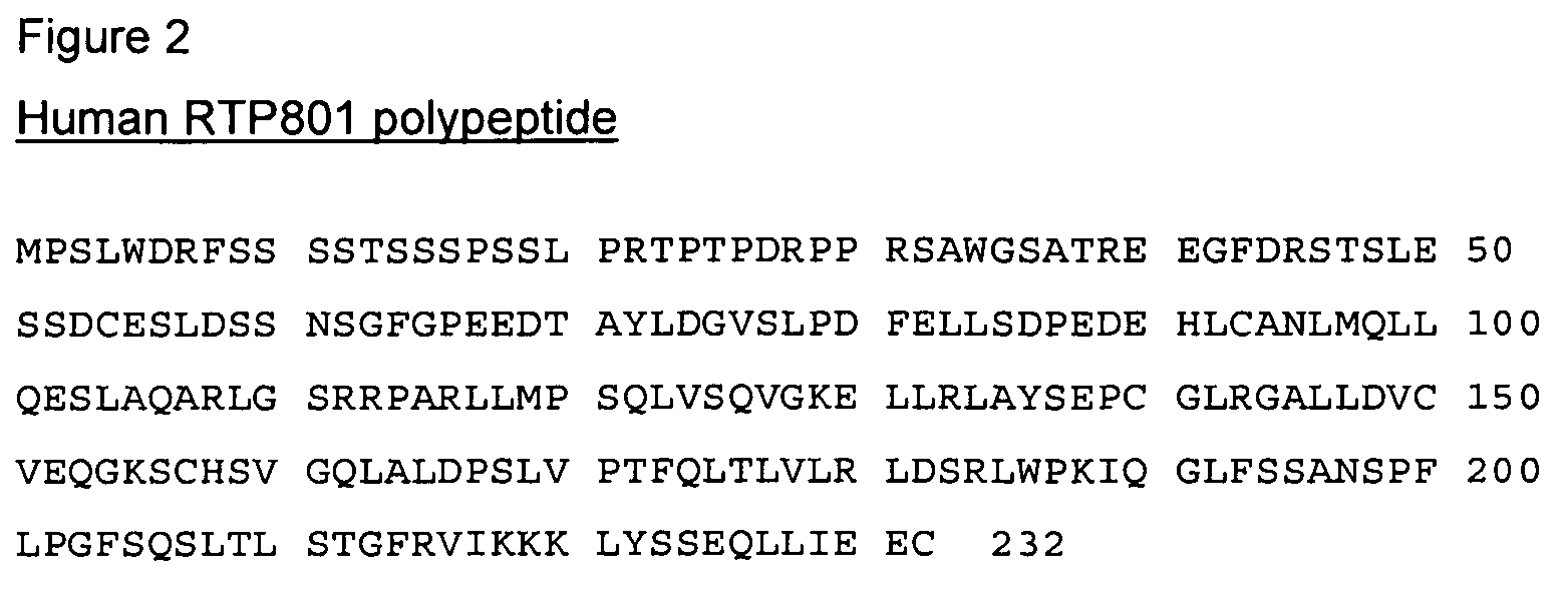 Therapeutic uses of inhibitors of RTP801