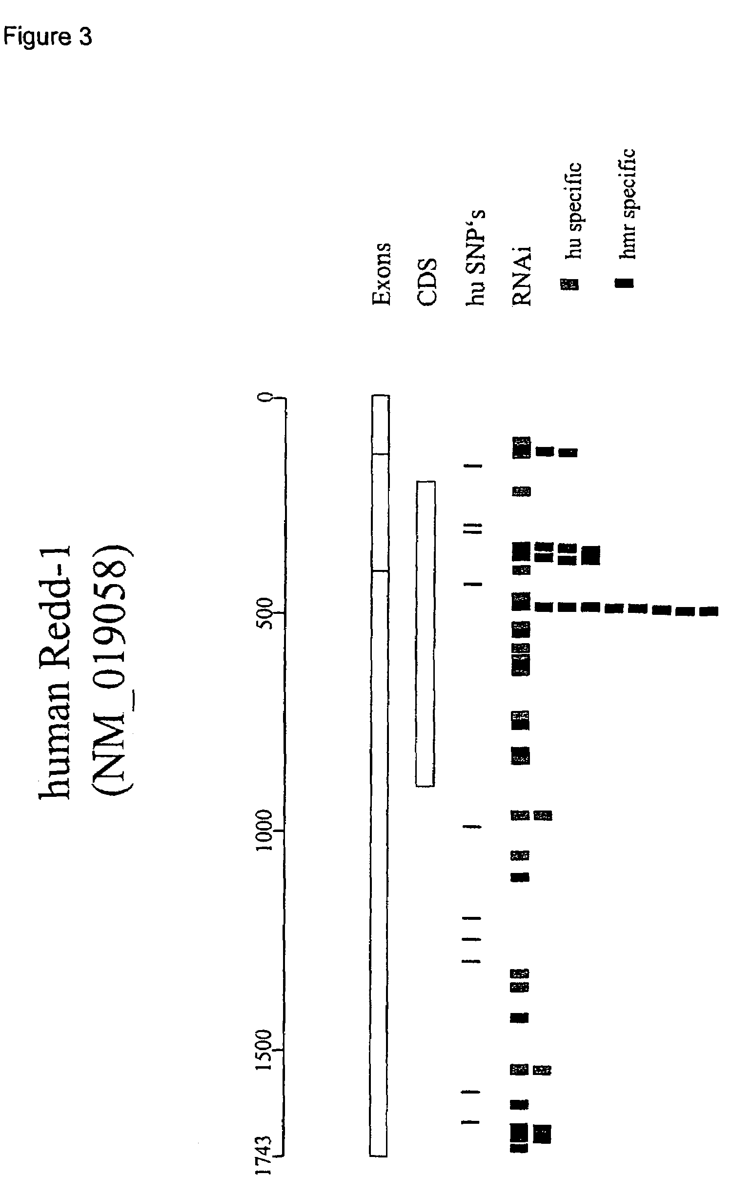 Therapeutic uses of inhibitors of RTP801