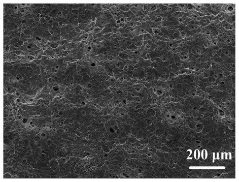 Underwater transparent porous cellulose paper-based material for cell culture, and preparation method and application thereof