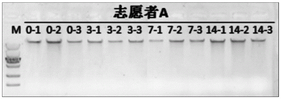 Preservation reagent for microorganism specimens containing rich organic matters, kit containing preservation reagent and application of preservation reagent