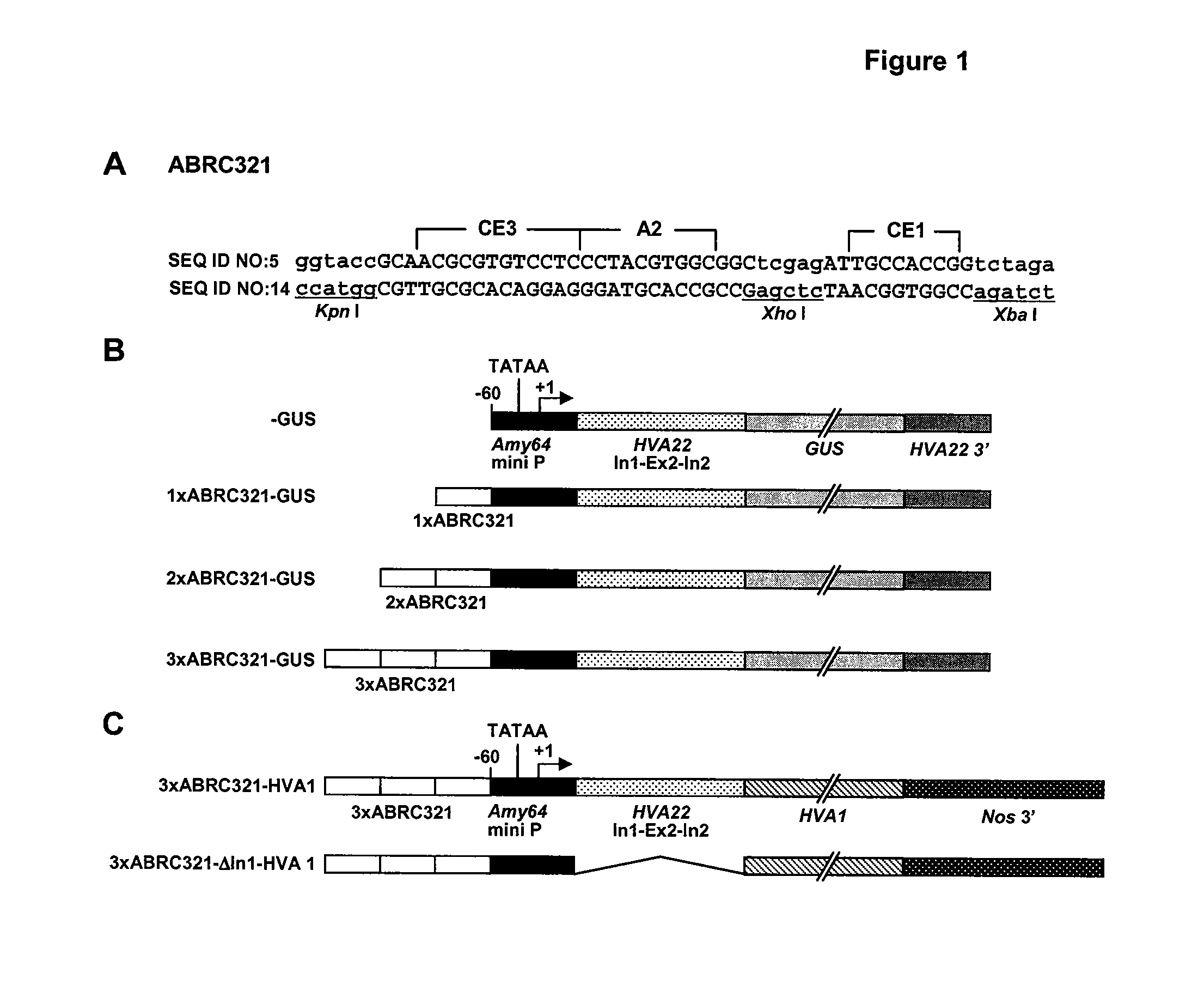 Abiotic stress tolerant transgenic plants