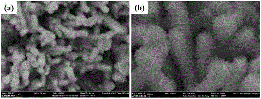 Preparation method of three-dimensional honeycomb CuInS2 nanowire array solar absorbing material