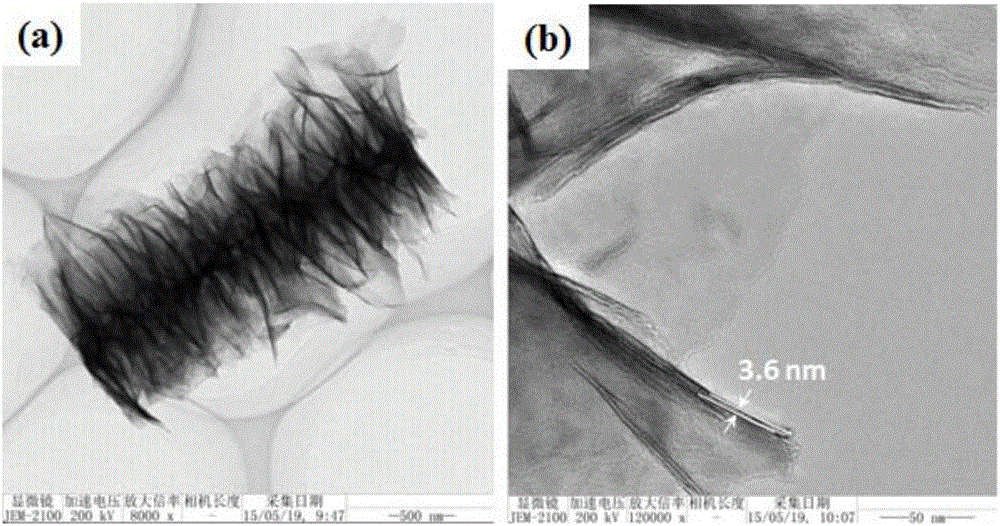 Preparation method of three-dimensional honeycomb CuInS2 nanowire array solar absorbing material