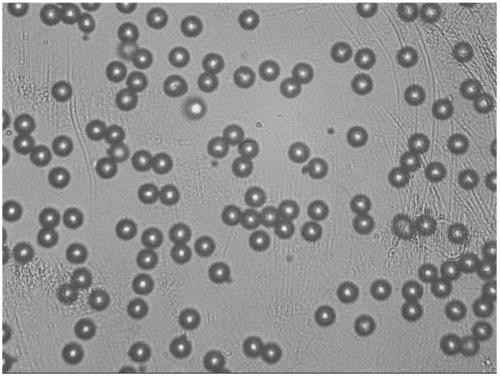 Cellulose microsphere with uniform size, and preparation method thereof