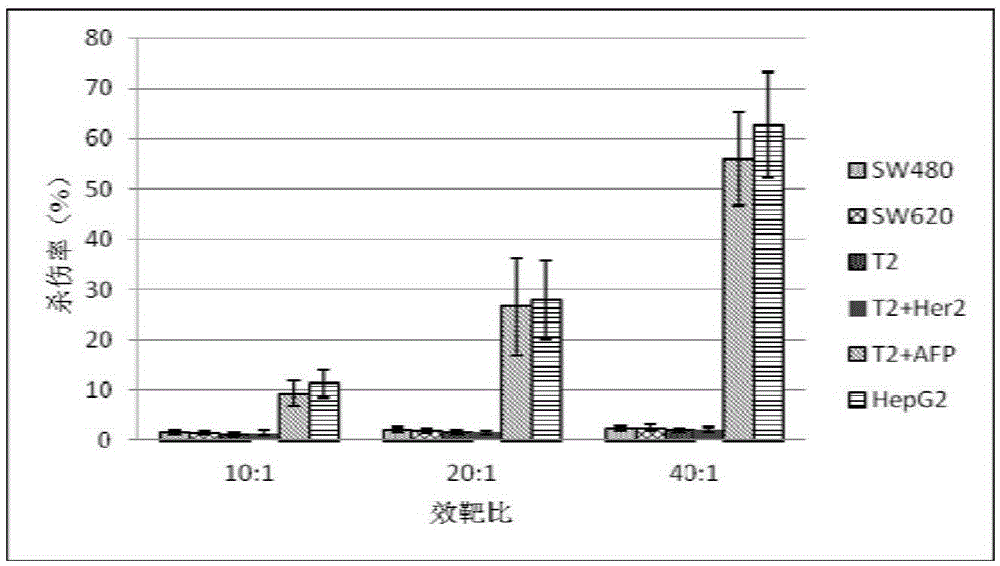 Afp158-166 specific tcr gene and its transgenic T cell, in vitro proliferation method and application