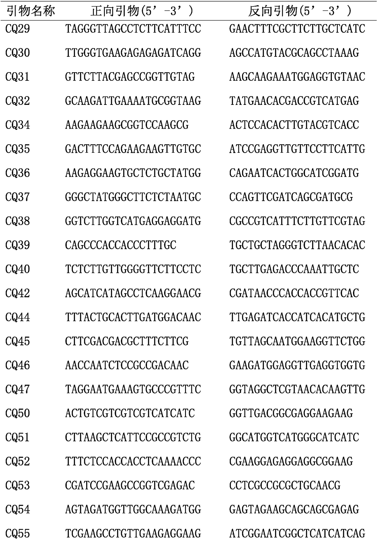 Quinoa est-ssr molecular marker and its application