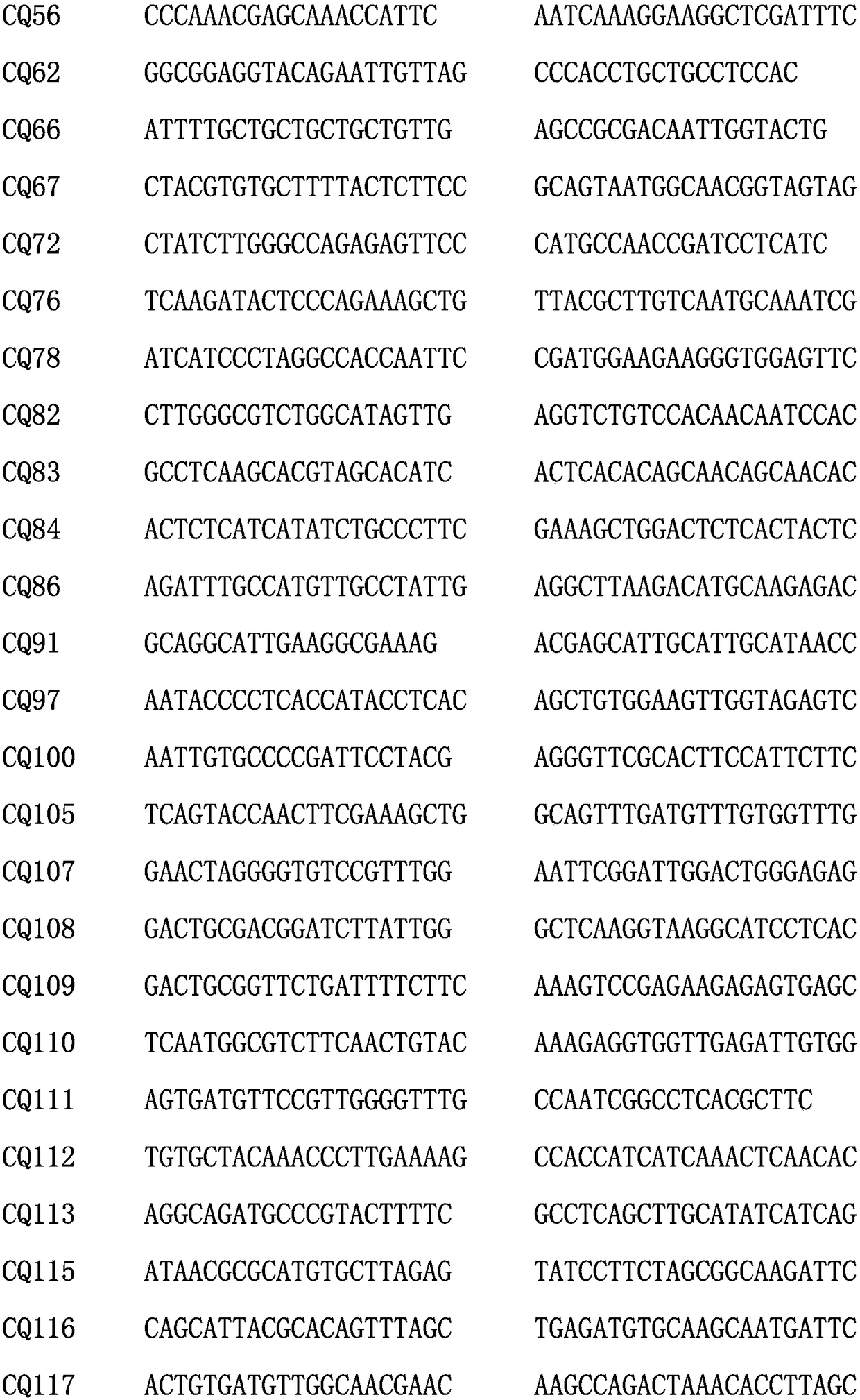 Quinoa est-ssr molecular marker and its application