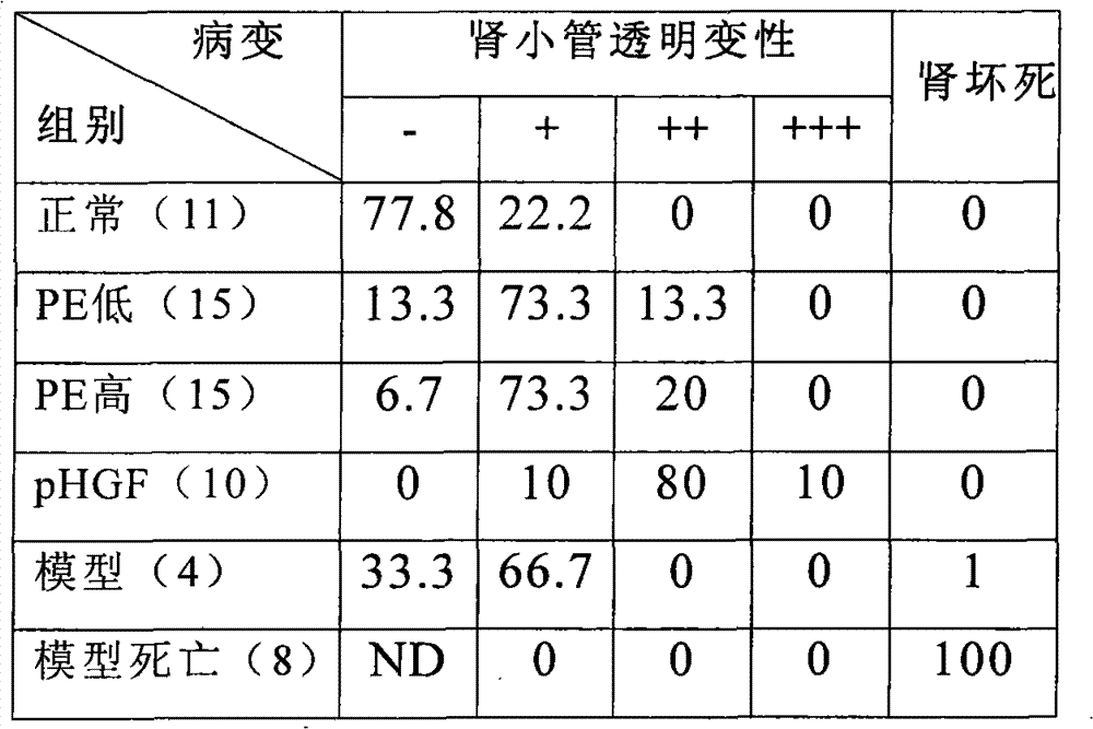 Animal pancreatic extract for preventing and curing diabetes