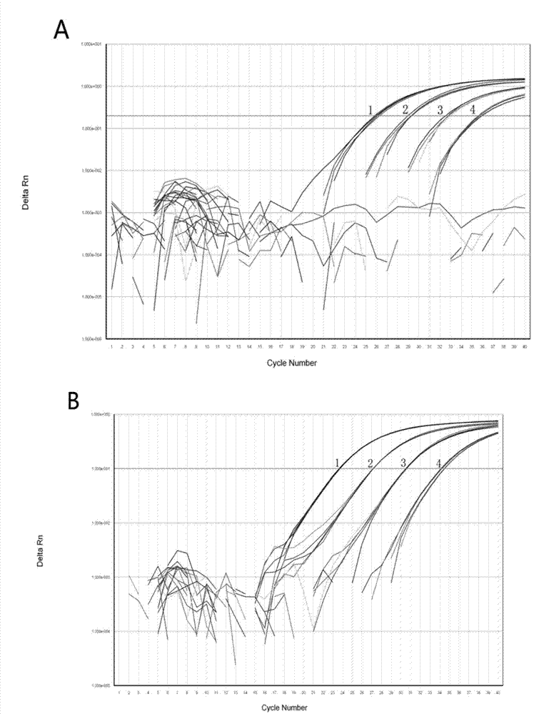 Taqman probe fluorescent quantitation polymerase chain reaction (PCR) method for rapidly detecting pork or chicken compositions in food added with internal amplification control