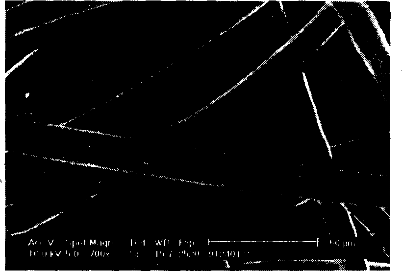 Production method of transplanting material