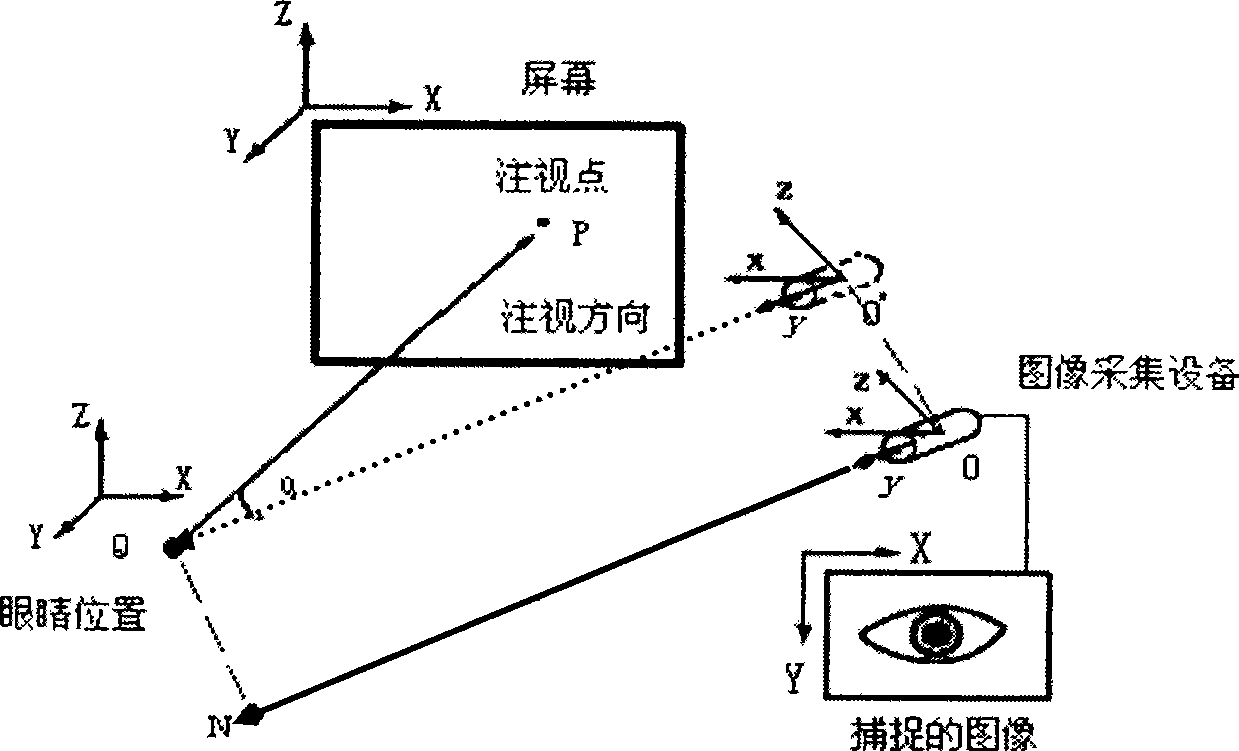 Device and method for synchronistically acquiring human face image and gazing angle