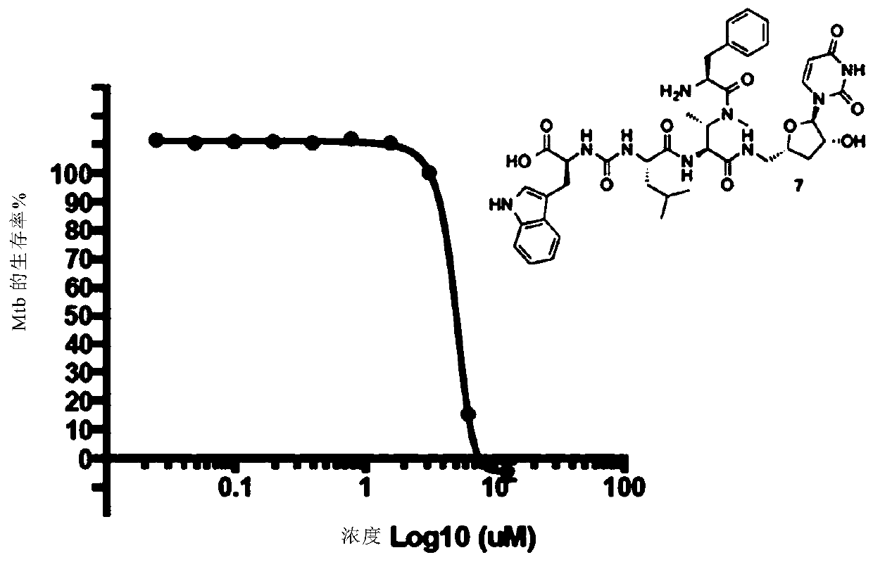 Novel compounds as Anti-mycobacterials