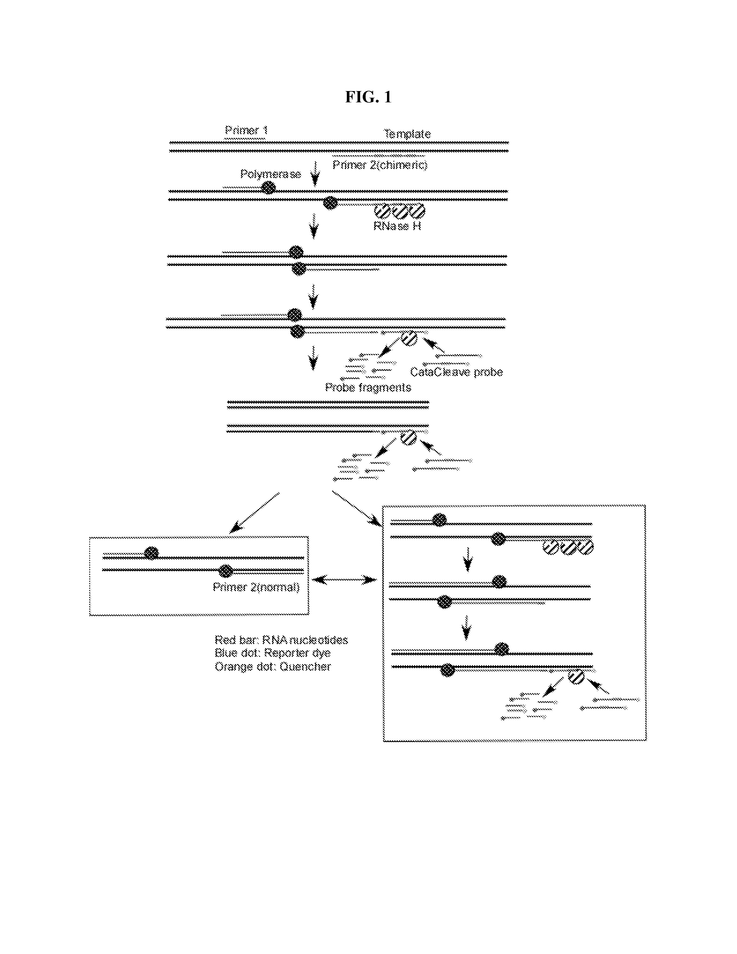 Enhanced amplification of target nucleic acid