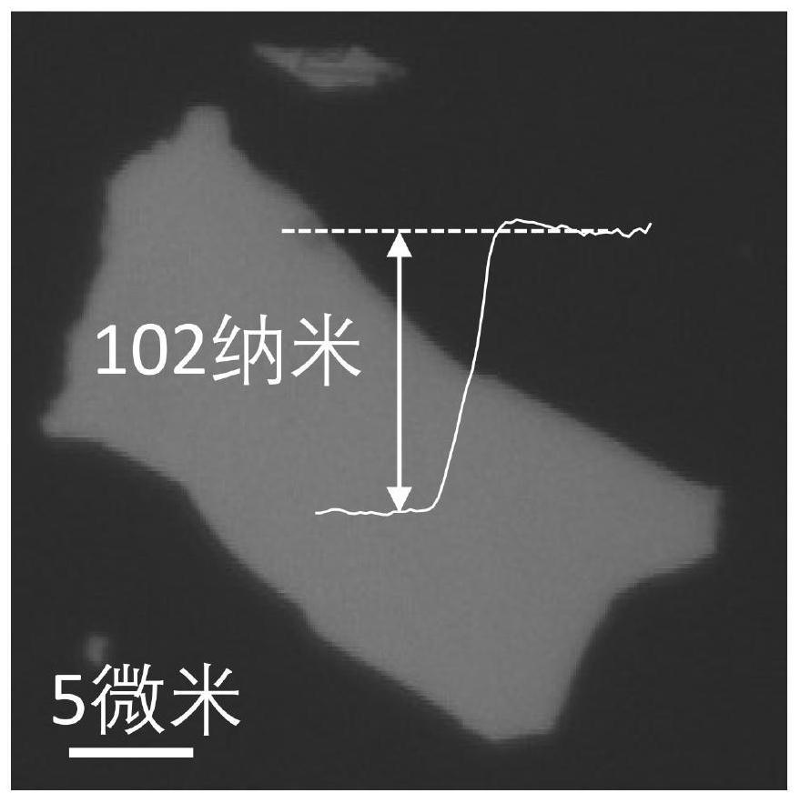 Polarization phase modulator based on two-dimensional germanium selenide and design method of modulator