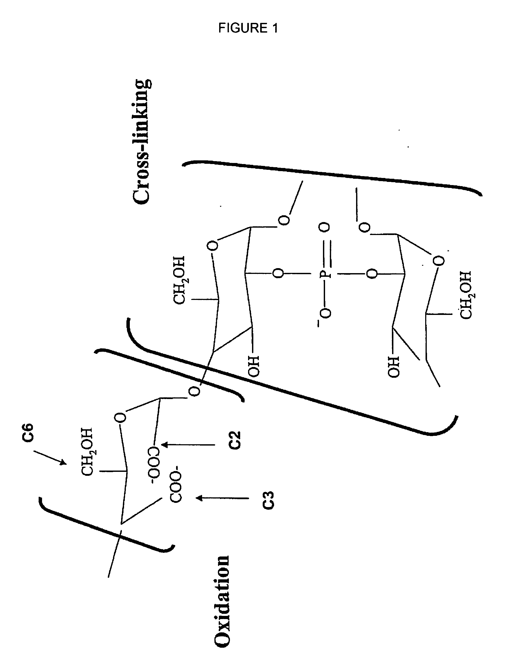 Oxidized reversibly swelling granular starch products